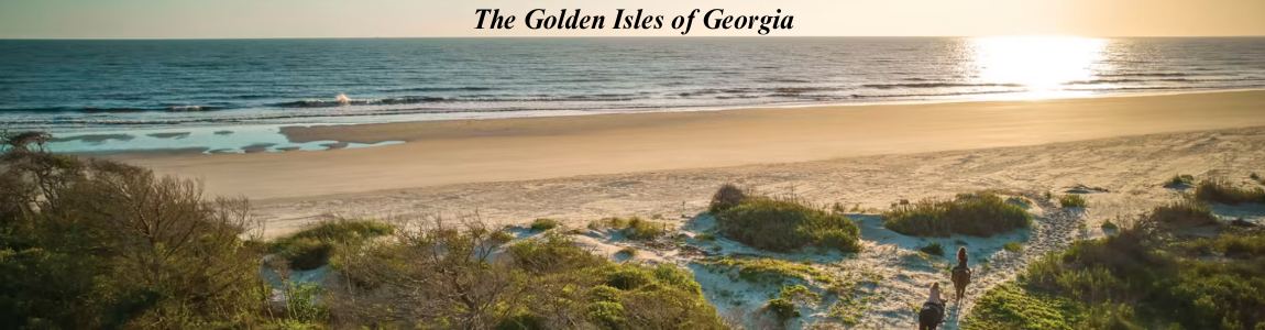 the golden isles of georgia