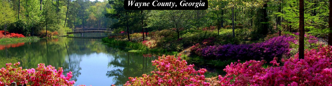 wayne county, georgia